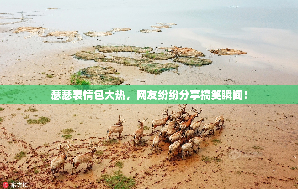 瑟瑟表情包大热，网友纷纷分享搞笑瞬间！