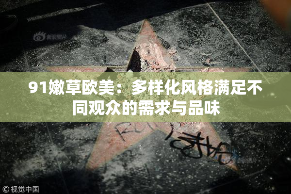 91嫩草欧美：多样化风格满足不同观众的需求与品味