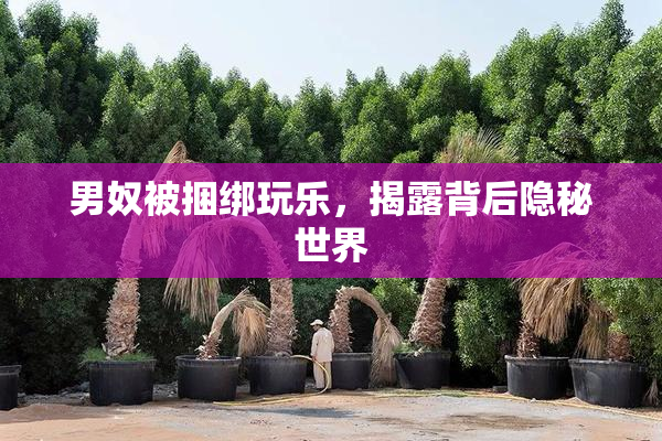 男奴被捆绑玩乐，揭露背后隐秘世界