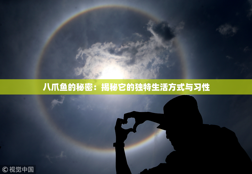 八爪鱼的秘密：揭秘它的独特生活方式与习性