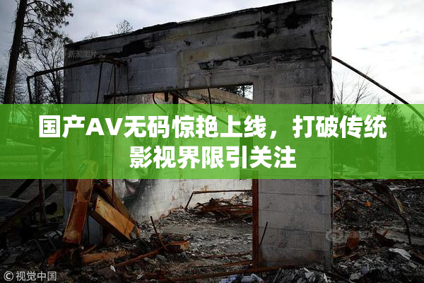国产AV无码惊艳上线，打破传统影视界限引关注