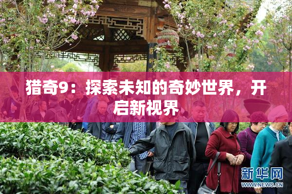 猎奇9：探索未知的奇妙世界，开启新视界