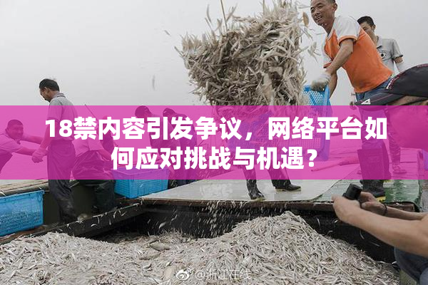 18禁内容引发争议，网络平台如何应对挑战与机遇？