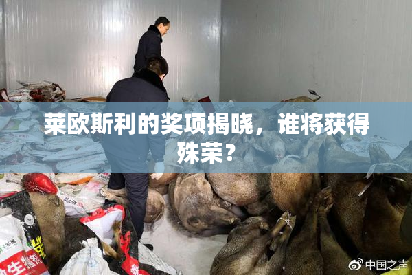 莱欧斯利的奖项揭晓，谁将获得殊荣？