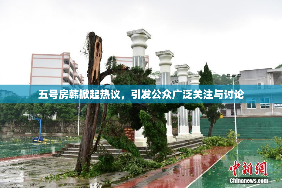 五号房韩掀起热议，引发公众广泛关注与讨论