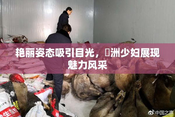 艳丽姿态吸引目光，亞洲少妇展现魅力风采