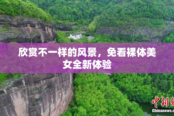欣赏不一样的风景，免看裸体美女全新体验