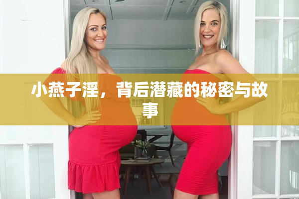 小燕子淫，背后潜藏的秘密与故事