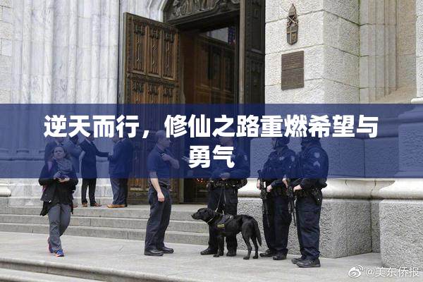 逆天而行，修仙之路重燃希望与勇气