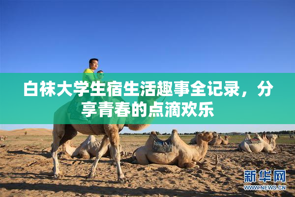 白袜大学生宿生活趣事全记录，分享青春的点滴欢乐