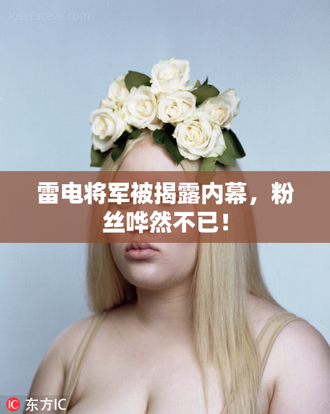 雷电将军被揭露内幕，粉丝哗然不已！