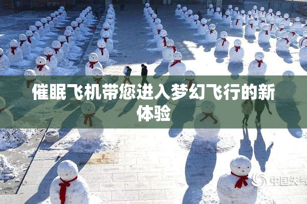 催眠飞机带您进入梦幻飞行的新体验
