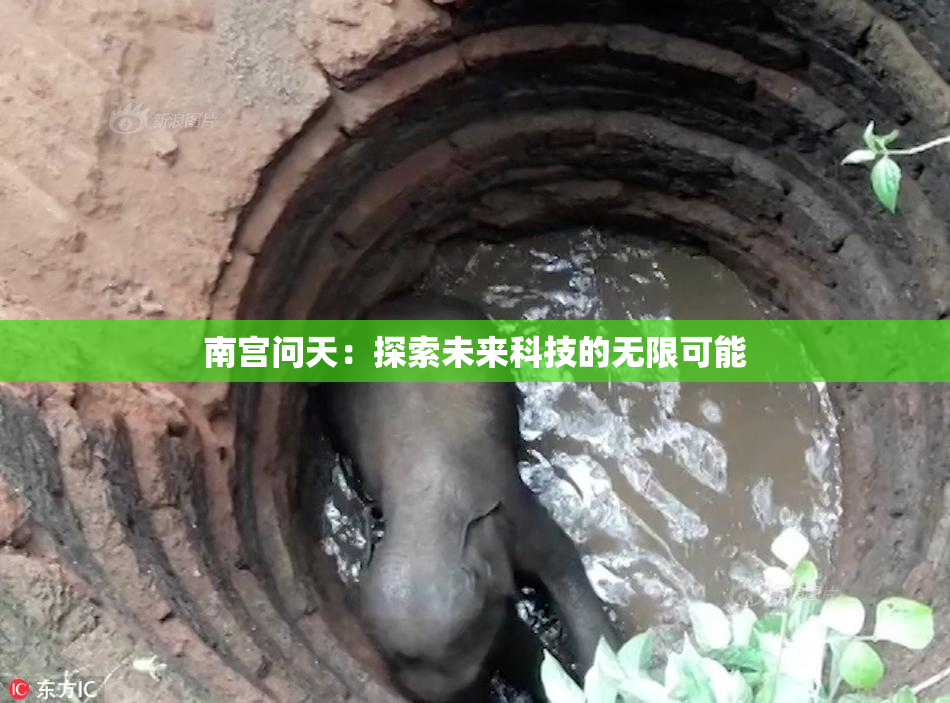 南宫问天：探索未来科技的无限可能