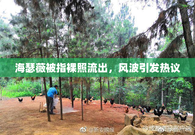 海瑟薇被指裸照流出，风波引发热议