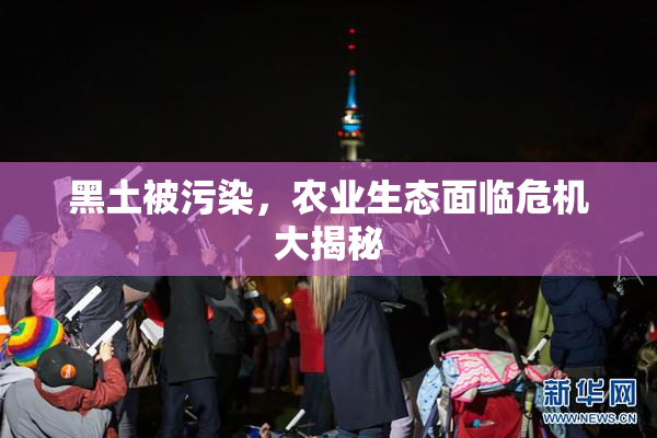 黑土被污染，农业生态面临危机大揭秘