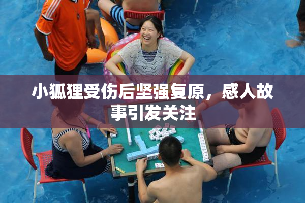 小狐狸受伤后坚强复原，感人故事引发关注