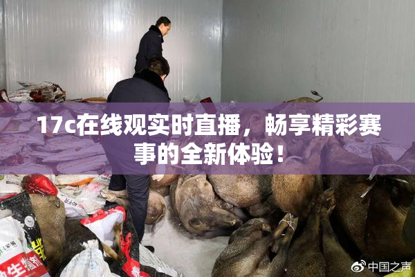 17c在线观实时直播，畅享精彩赛事的全新体验！