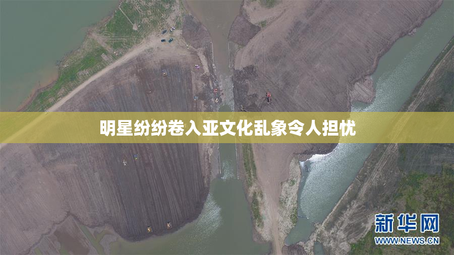明星纷纷卷入亚文化乱象令人担忧