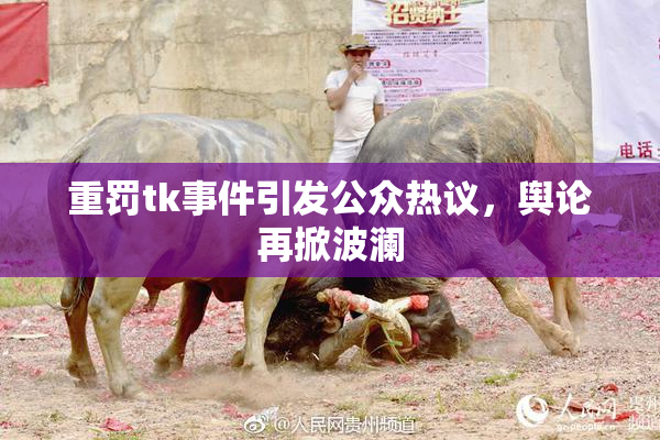 重罚tk事件引发公众热议，舆论再掀波澜