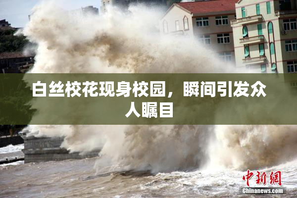 白丝校花现身校园，瞬间引发众人瞩目