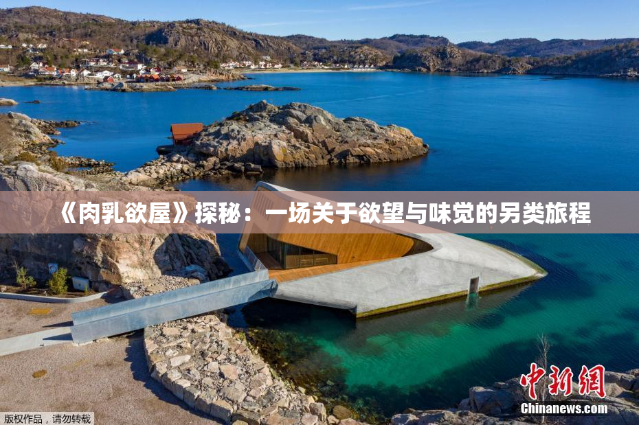 《肉乳欲屋》探秘：一场关于欲望与味觉的另类旅程