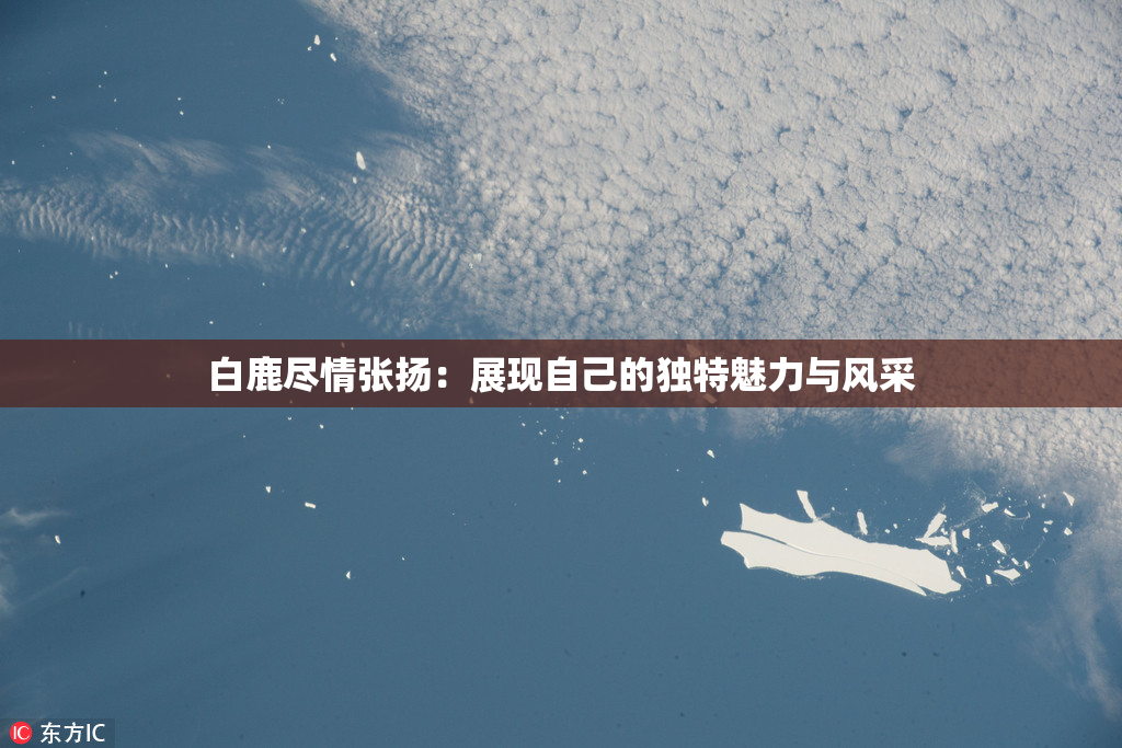 白鹿尽情张扬：展现自己的独特魅力与风采