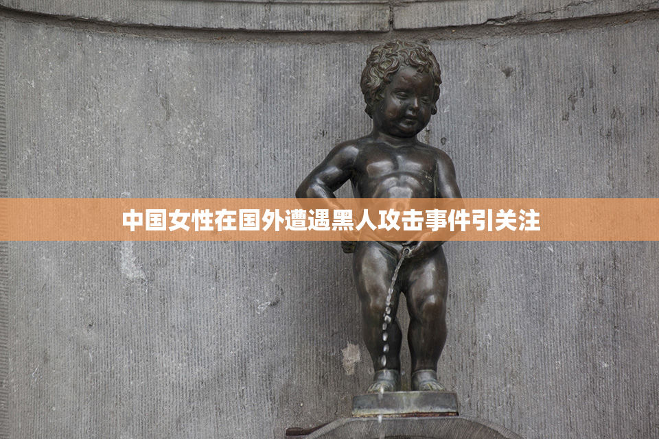中国女性在国外遭遇黑人攻击事件引关注