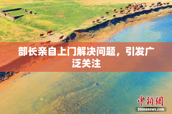 部长亲自上门解决问题，引发广泛关注