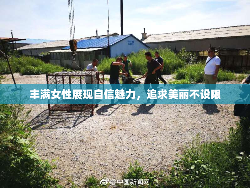 丰满女性展现自信魅力，追求美丽不设限