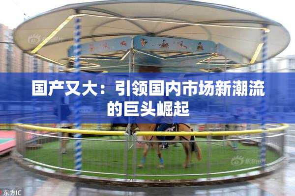 国产又大：引领国内市场新潮流的巨头崛起