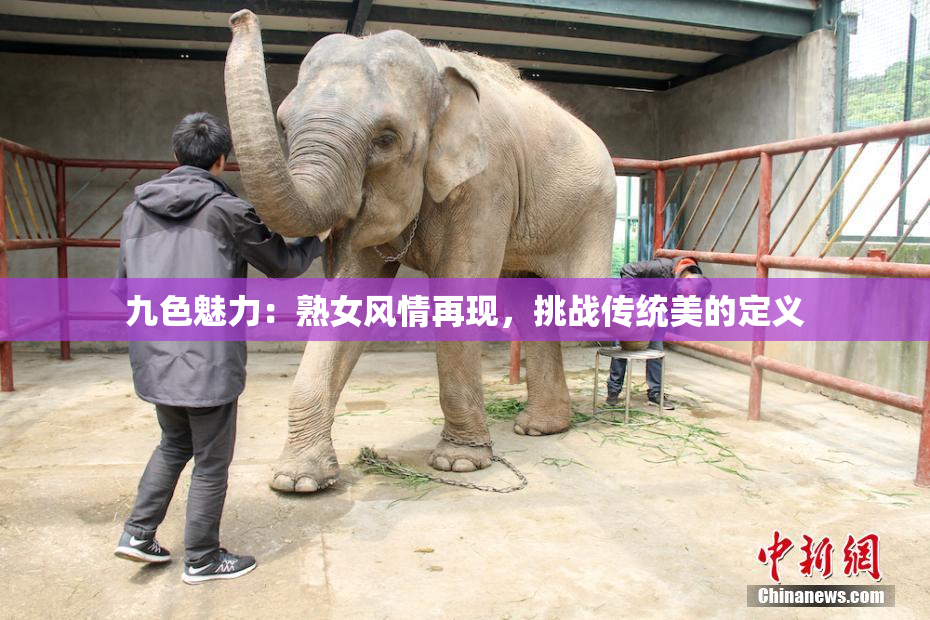 九色魅力：熟女风情再现，挑战传统美的定义