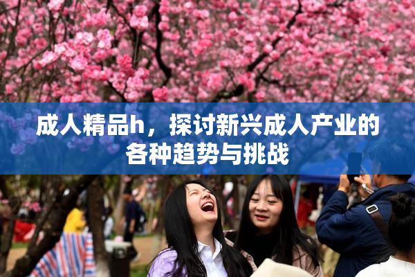 成人精品h，探讨新兴成人产业的各种趋势与挑战