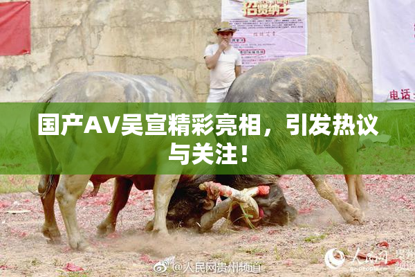 国产AV吴宣精彩亮相，引发热议与关注！