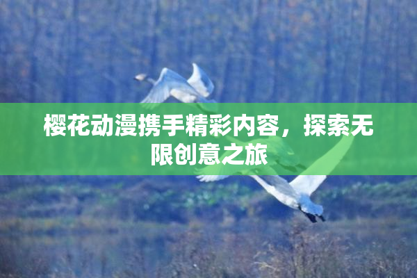 樱花动漫携手精彩内容，探索无限创意之旅