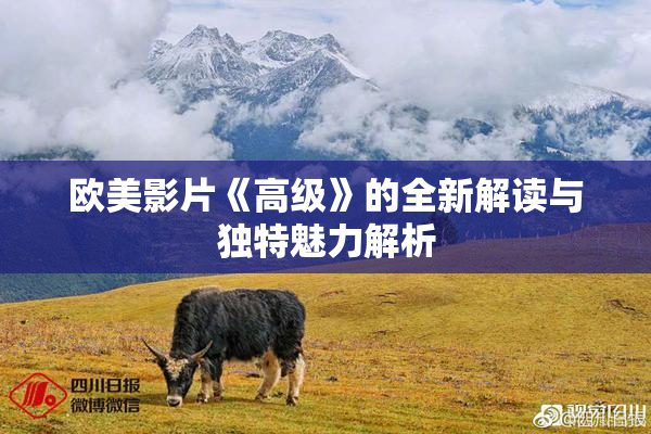 欧美影片《高级》的全新解读与独特魅力解析