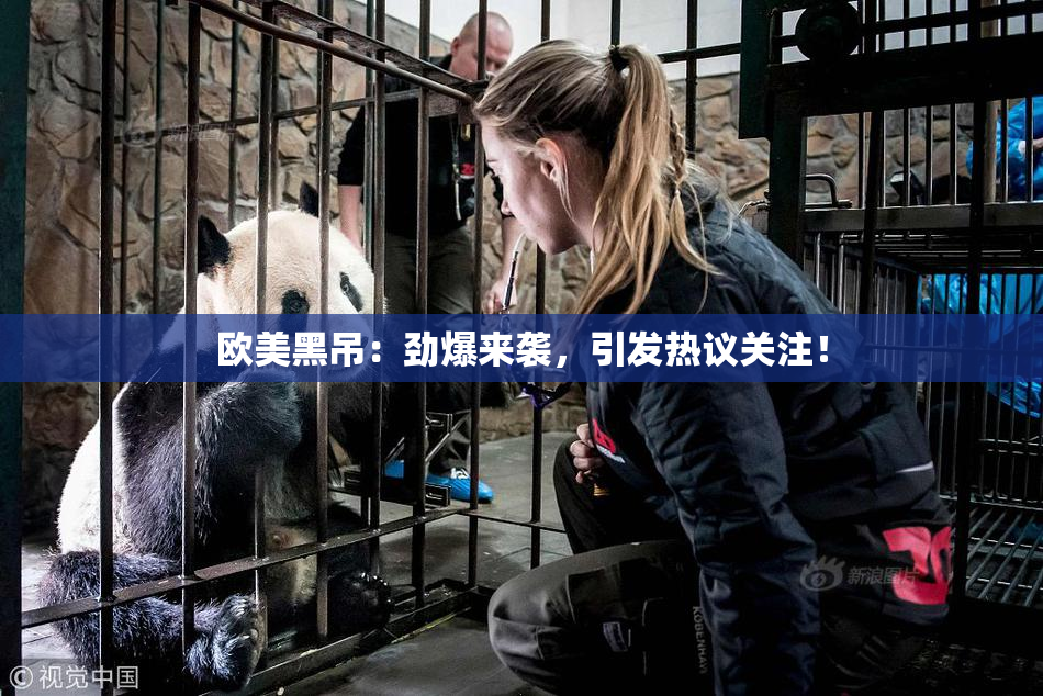 欧美黑吊：劲爆来袭，引发热议关注！