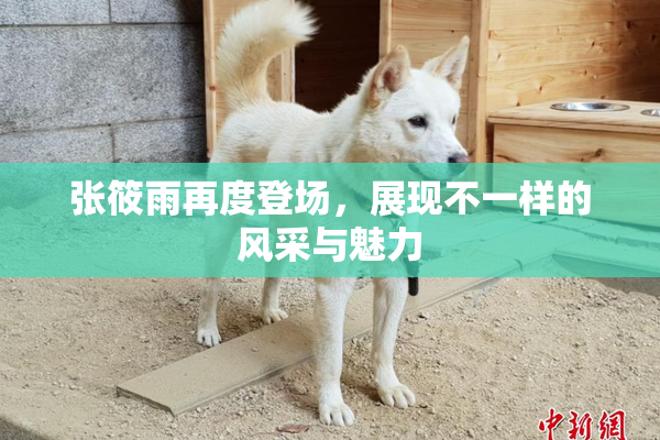 张筱雨再度登场，展现不一样的风采与魅力