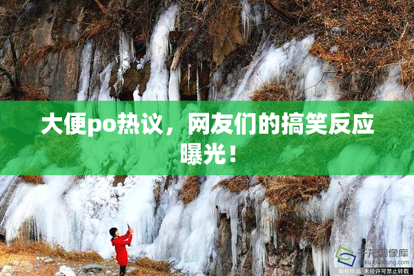 大便po热议，网友们的搞笑反应曝光！