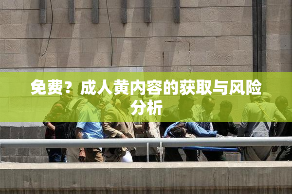 免费？成人黄内容的获取与风险分析