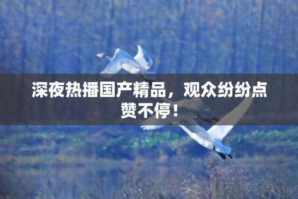 深夜热播国产精品，观众纷纷点赞不停！