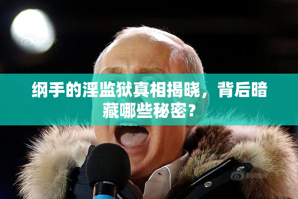 纲手的淫监狱真相揭晓，背后暗藏哪些秘密？