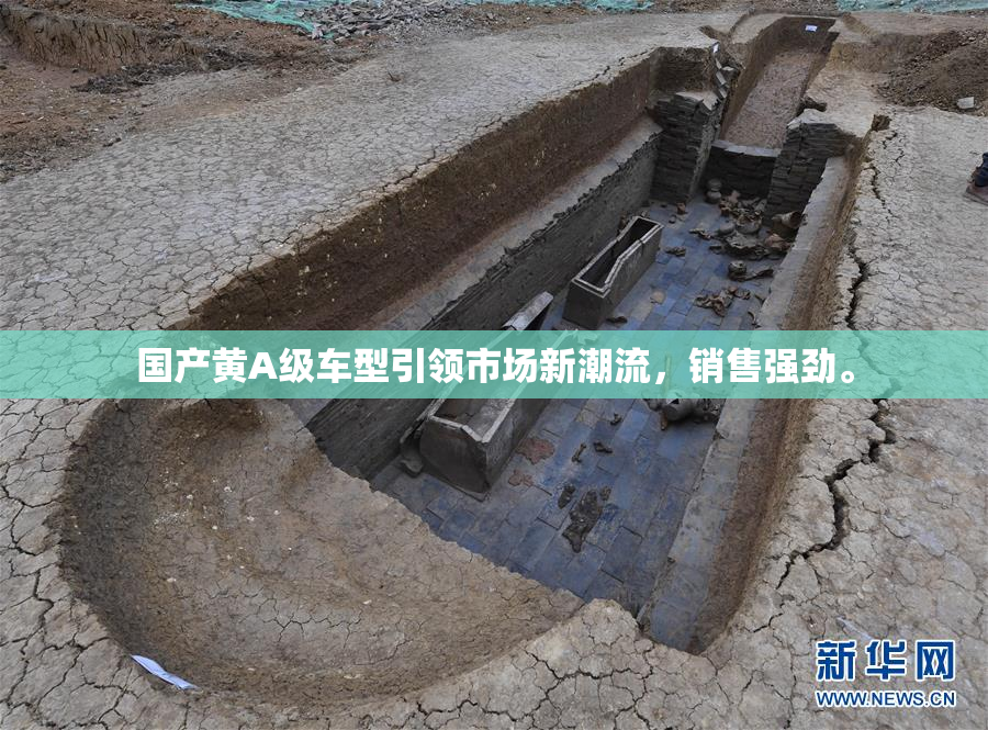 国产黄A级车型引领市场新潮流，销售强劲。