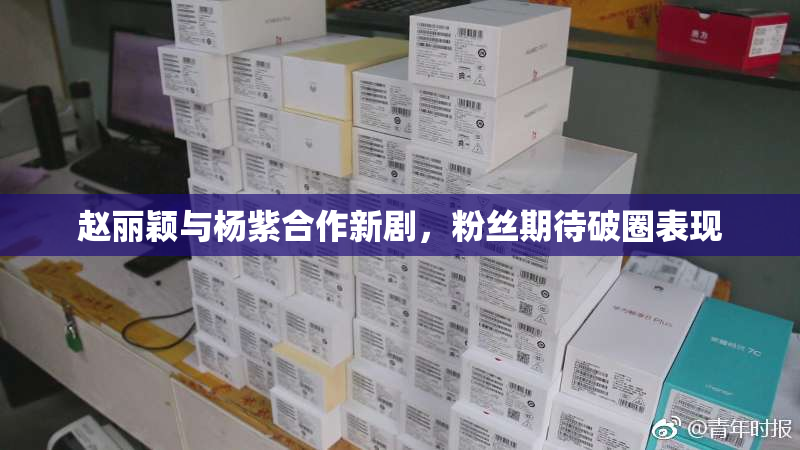赵丽颖与杨紫合作新剧，粉丝期待破圈表现