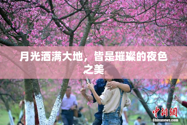月光洒满大地，皆是璀璨的夜色之美