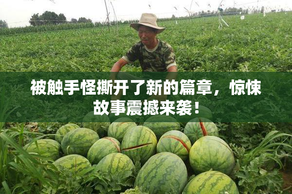 被触手怪撕开了新的篇章，惊悚故事震撼来袭！