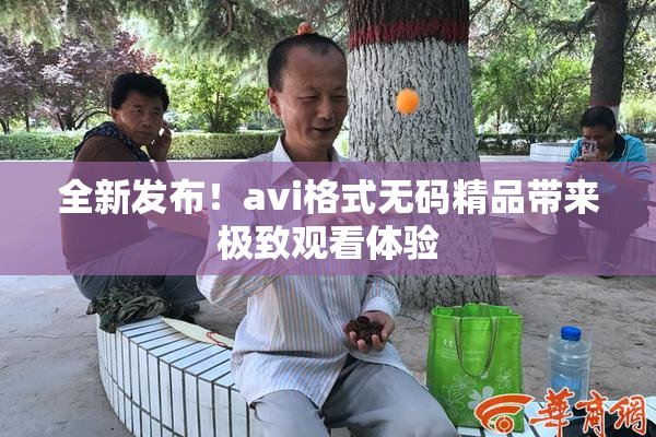 全新发布！avi格式无码精品带来极致观看体验
