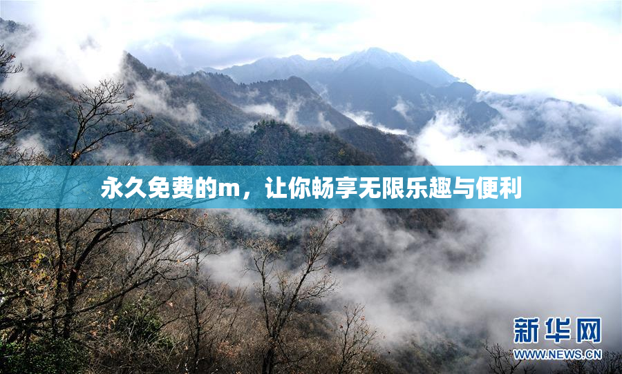 永久免费的m，让你畅享无限乐趣与便利