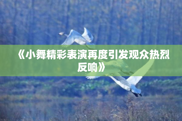 《小舞精彩表演再度引发观众热烈反响》