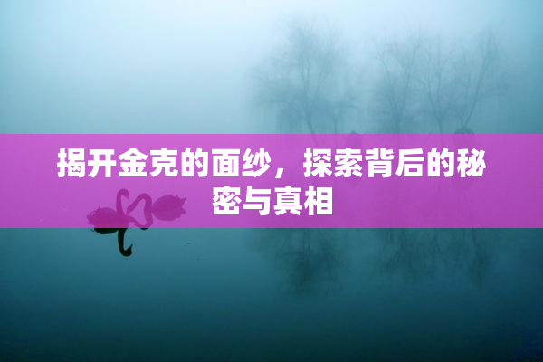 揭开金克的面纱，探索背后的秘密与真相