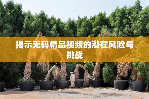 揭示无码精品视频的潜在风险与挑战